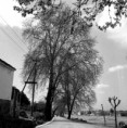 /album/i-kalamata/spartis-street-jpg/